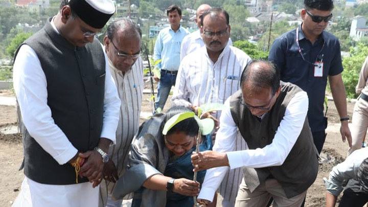 मुख्यमंत्री श्री चौहान ने आम, आँवला और बरगद के पौधे रोपे